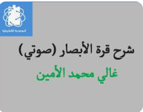 قرة الابصار في سيرة المشفع المختار
